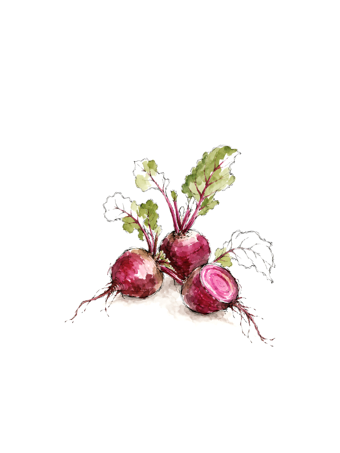 A Few Beets, ink and watercolor print