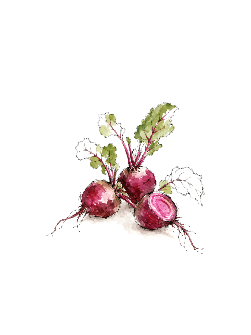 A Few Beets, ink and watercolor print