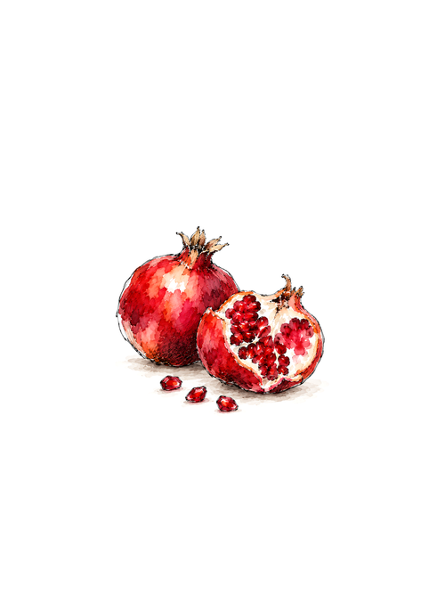 A Pair of Pomegranates, ink and watercolor print
